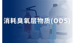 ODS物质的来源及环境危害